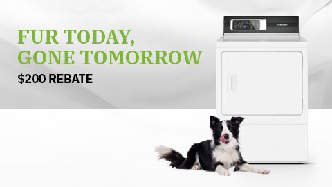 Fur Today, Gone Tomorrow - $200 Rebate